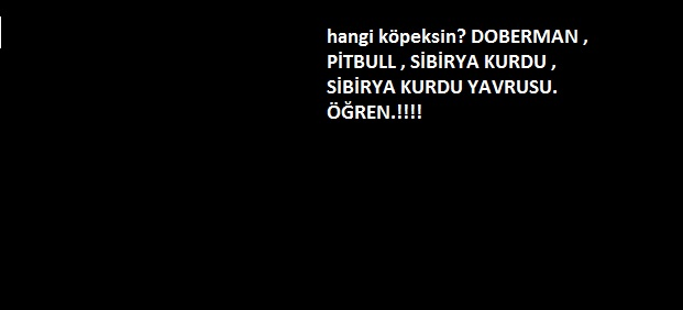 Hangi Köpeksin