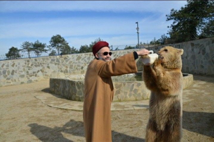 Hangi Cübbeli Ahmet Hoca Yargısısın