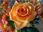 Nice Gift For You