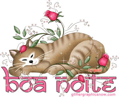 Boa noite