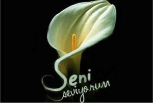 Demeti Ne Kadar Seviyorsun?