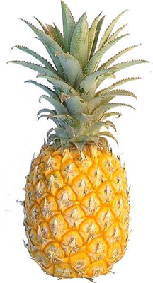 Pineapple