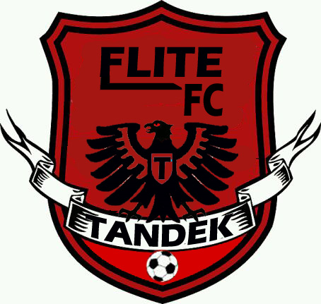 Siapakah Kamu Di Elite Fc ?