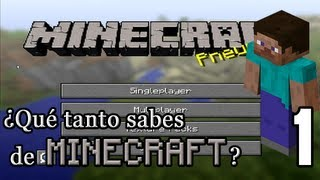 Que Tanto Sabes Sobre Minecratf