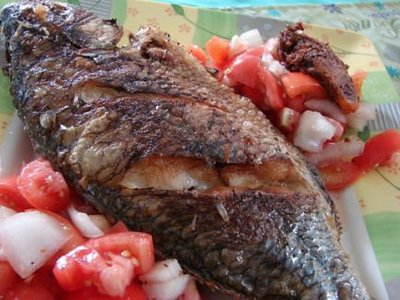Tilapia