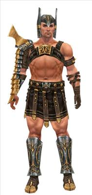 Vilken Guild Wars Kararktär Är Du?