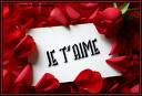 Amour Ou Amitier