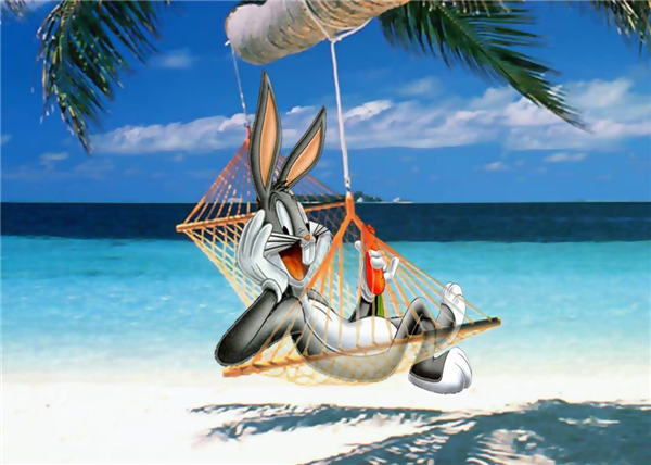 Day at the beach