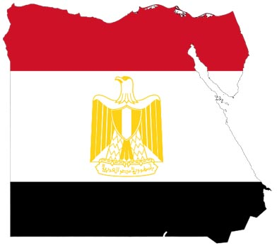 من هو رئيس مصر القادم