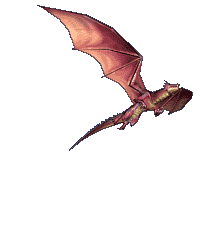 dragon 8