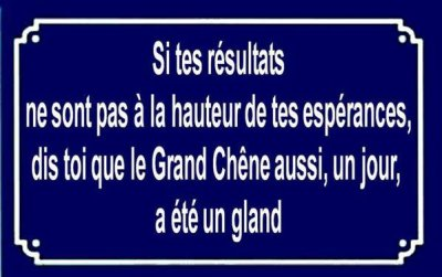 Vote Et Verifie Qui Gagne