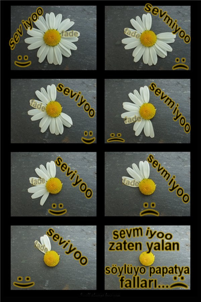 AZ SEVİYOR