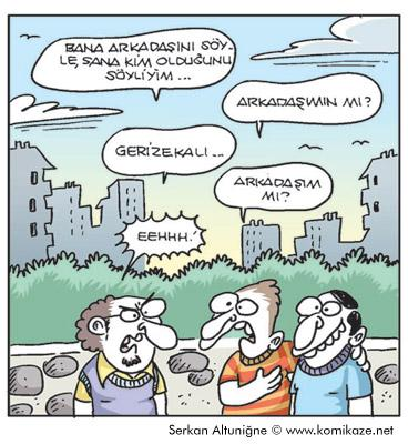 Nasıl Bir Gerizekalısın