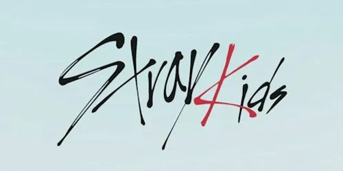 Skz Üyelerini Ne Kadar Tanıyorsun