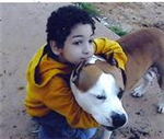 Run Your Own Animal Rescue!!!