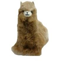 An Alpaca