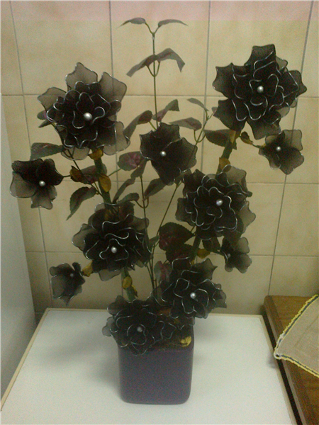 Sondagem Produtos Plantarte