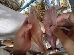 Iwak Karing CUMI Kotabaru ( Cumi kering Kotabaru )