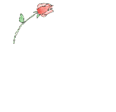 sasasa