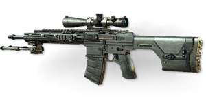 rsass