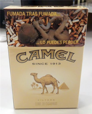 CAMEL
