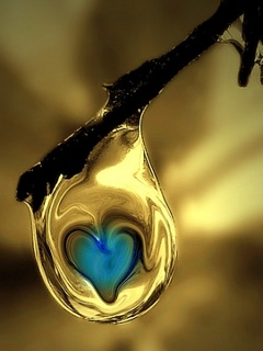 Heart