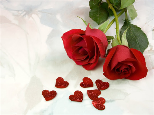 Red Rose