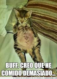 ¿Eres Carnival Con Ti Mismo?