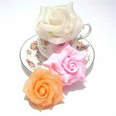 Rose for you