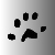 RODENT
