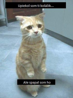 Ako Sa Dnes Budeš Mať ?