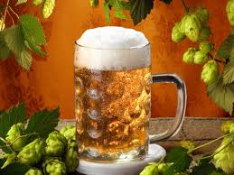 pivo