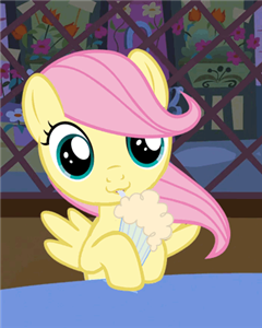 Kader Fluttershy