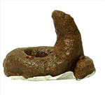 Caca