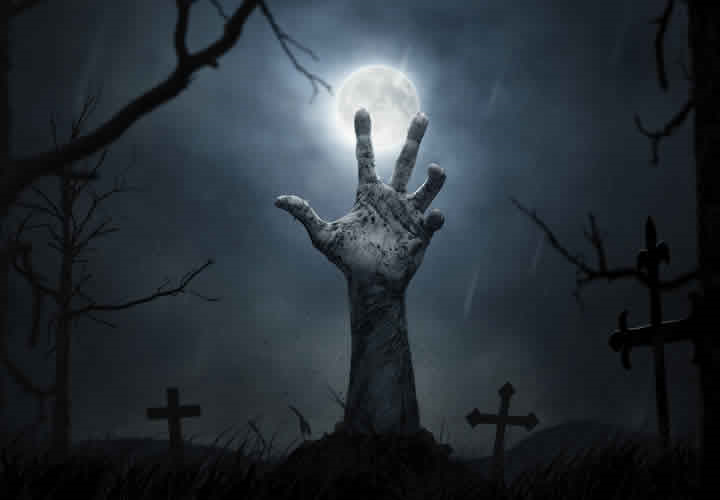 ¿ Sobrevives A Un Zombie ?