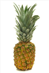 Pineapple Sender
