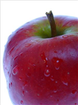 Manzana Del Conocimiento