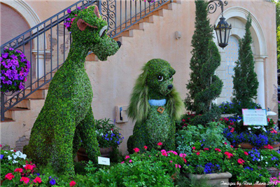 Las flores son hermosas