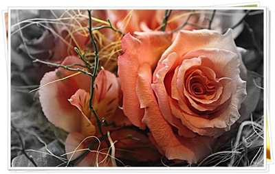 Las flores son hermosas