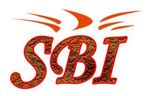 Sbi তে তোমার দিনকাল 