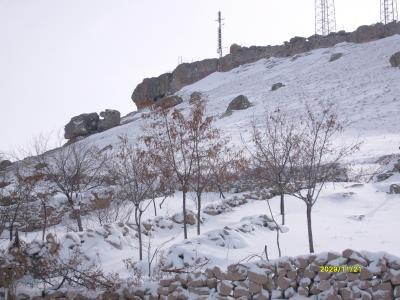 Ne Kadar Demirci'yi Tanıyorsun