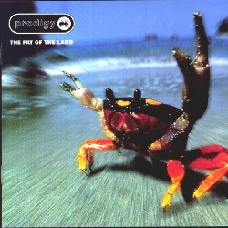 Best Album Of The Prodigy ??