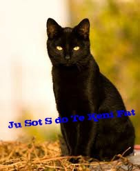 Ju S Do keni Fat