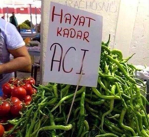 Hangi İlin İnsanısın?