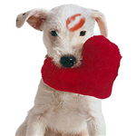 Valentine's Day Gifts <3