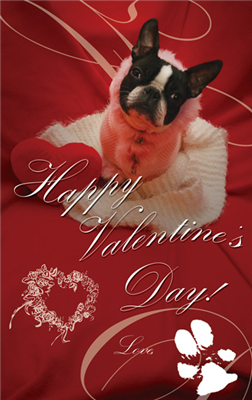 Valentines Dog