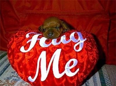 Hug Me