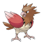 Spearow