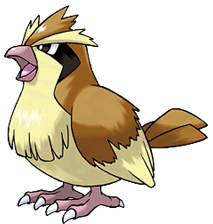Pidgey