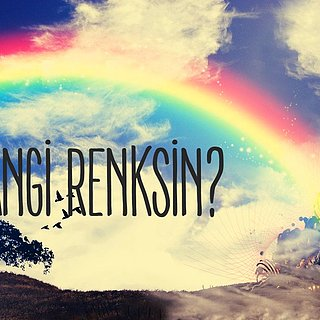 Hangi Renksin ?